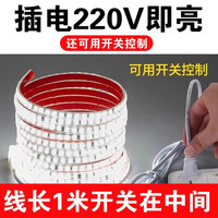灯带led灯条带开关插电自粘超亮220V户外防水家用照明货架软灯带
