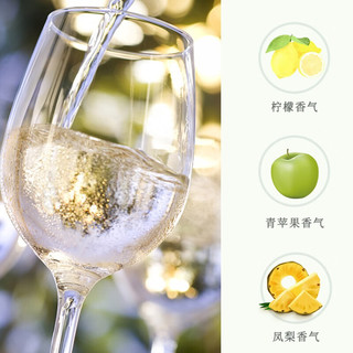 天帕（TENTA）智利中央山谷原瓶进口13度霞多丽干白葡萄酒750ml*6瓶整箱装 霞多丽两支装