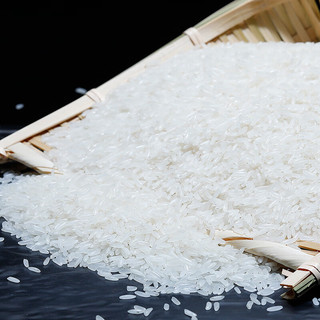 GUOJING/国精 当季新米 长粒大米  袋装 10kg
