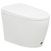 瑞尔特(R&T)普通马桶家用离座自动冲水无需插电智冲马桶 W5202