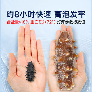同仁堂 大连淡干海参 98g30-39只 礼盒装