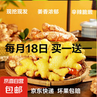 京喜 云南 小黄姜 新鲜生姜 500g