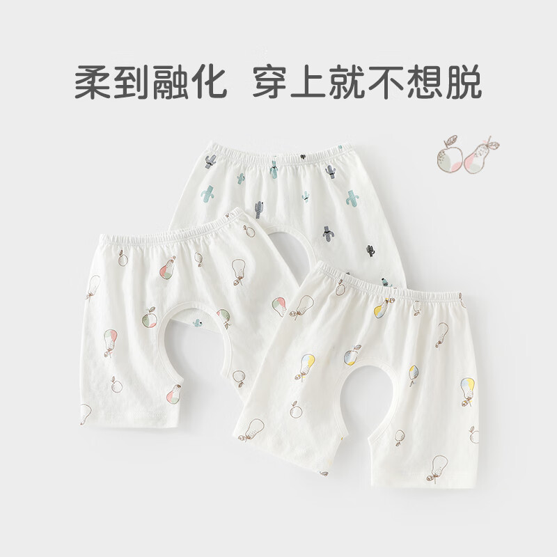 绿仙人掌