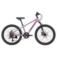 京东京造22英寸青少年儿童自行车 学生山地车禧玛诺碟刹生日礼物