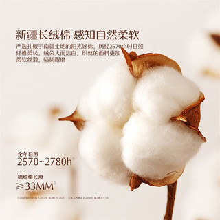 水星家纺 A类抑菌60支长绒棉四件套 南法·尼斯海岸 1.8米床