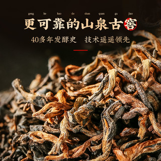 澜沧古茶2024年古木香6年陈普洱熟茶老熟普散茶品鉴装 16g