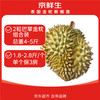 京鲜生 金枕巴掌榴莲2粒组合装 净重4-5斤  单粒1.8斤+ 保3房 源头直发