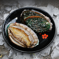 缤鲜鲍鱼鲜活超大新鲜冷冻鲍鱼海鲜水产加热即食鲍鱼捞汁饭