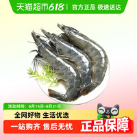 88VIP：大岸浪花 厄瓜多尔 南美白对虾 16-22cm 30-40只/千克 1500g