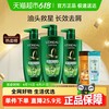 L'OREAL PARIS 茶树植萃去屑净油洗发露