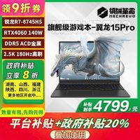 百亿补贴：机械革命 翼龙15Pro R7-8745H 4060澜夜黑游戏本