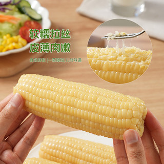 【好物体验专享】有机甜糯玉米