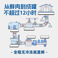 新西兰猫罐头处方猫咪美毛肠道养护罐头泌尿术后修护营养湿粮