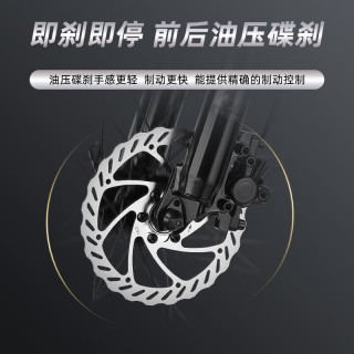 千里达 M985山地自行车禧玛诺21速油压碟刹霞光银17寸 霞光银 21速 170-190cm左右