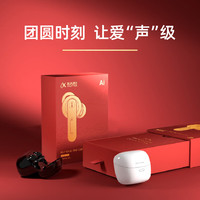 科大讯飞 iFLYTEK HB-03 助听器 尊享版