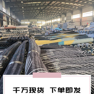 星晚入户进门口玄关地垫客厅耐脏防滑毯子免洗蹭灰防水门外踩脚垫厨房 轻奢入户-21号 （）请勿直接拍