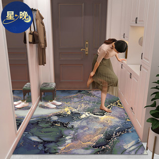 星晚入户进门口玄关地垫客厅耐脏防滑毯子免洗蹭灰防水门外踩脚垫厨房 轻奢入户-21号 （）请勿直接拍