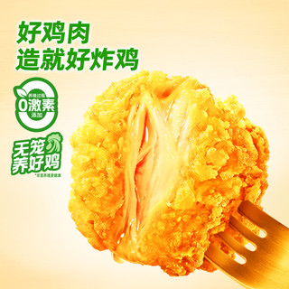  sunner/圣农 空气炸锅半成品 鸡腿肉块  220g*5包 包装 1100g