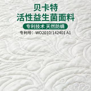  金橡树 泰国天然乳胶 乳胶床垫  10-15cm（含） 软硬适中