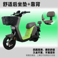 今日必买：花小马 电动自行车M11H48v24ah星恒锂电采销实测续航对置双缸前碟刹TCS防滑NFC 车架终生质保 霜灰映雪