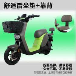 花小马 电动自行车M11H48v24ah星恒锂电采销实测续航对置双缸前碟刹TCS防滑NFC 车架终生质保 霜灰映雪
