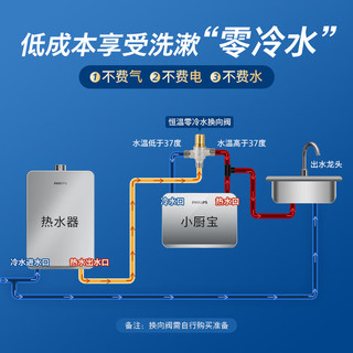  PHILIPS/飞利浦 智能无极变频 即热式电热水器  100L及以上 5500W