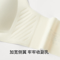 幸棉春夏透气软支撑无钢圈内衣女小胸聚拢薄款无痕女文胸吸汗超薄 M (70C75AB)