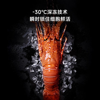 小吉 BCD-JS612W2 双变频风冷无霜 612L 奶酪白 冰箱