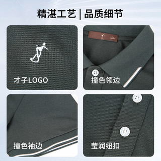 才子（TRIES）男士T恤夏季商务休闲撞色条纹翻领刺绣POLO衫吸汗透气男打底上衣 绿色 2XL （52）