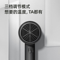 移动端、京东百亿补贴：飞科 护发电吹风机低噪音大功率吹风筒PH1623