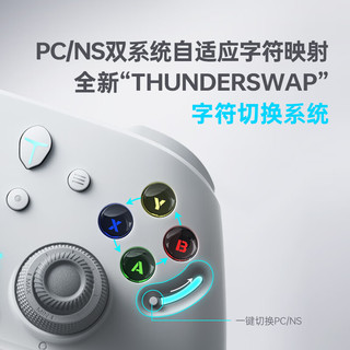 雷神（ThundeRobot）G80雷切 无线游戏手柄 HD音圈马达力切换摇杆字符切换Switch类xbox蓝牙体感PC电脑ns电视Steam 白 雷神G80雷切白色+充电底座