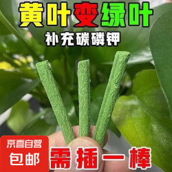 花神纪 植物缓释营养棒1盒18支