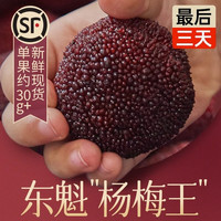 仙居杨梅 浙江仙居东魁杨梅