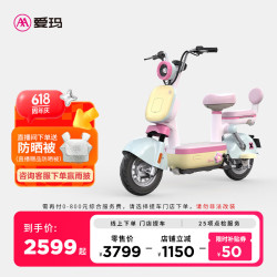 爱玛 元宇宙Pro 新国标电动车 TDT1353Z 到店选颜色