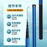 柏鲨 垂钓渔具用品 鱼竿套装+手竿+海杆