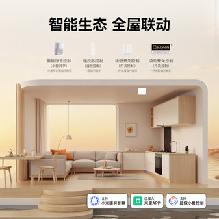  Yeelight/易来 人体存在感应 LED面板灯  冷光（5000K以上） 10-20㎡（含） 24W