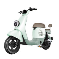 宝岛 新国标电动车自行车电瓶车锂电池代步男女成人小型车轻便电车