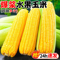 粤迎 云南金银水果玉米新鲜甜玉米现摘玉米棒生鲜蔬菜可生吃火锅食材 5斤精选装净4.7斤