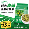 十月稻田 SHI YUE DAO TIAN 绿豆 1kg