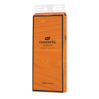 植护卫生纸卷纸厕纸实惠装卷筒纸 100g*10卷