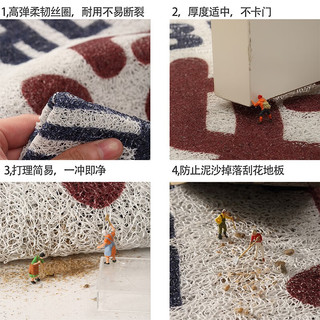 赤影入户丝圈地垫玄关大门外防滑垫进门口耐脏蹭灰垫子免洗可裁剪 格子间-C 100*160CM