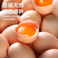 倍佑 新鲜谷物蛋初生蛋谷物喂养天然健康柴鸡蛋笨鸡蛋草鸡蛋