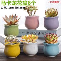 仟尚亿 多肉花盆陶瓷个性简约室内植物创意粗陶花盆栽花盆透气大口径组合 YS粗陶彩绘组合10个 中等