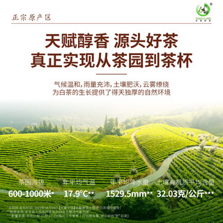 打鼓岭 茶叶绿茶 正宗安吉白茶可配礼袋茶叶自己喝 【口粮爆款】珍稀白茶