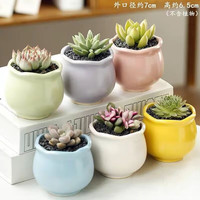 源老舍 多肉拼盘盲盒花盆陶瓷家用法师蛋桃肉肉小盆陶土透气种植盆 福利百款随机6个装 中等