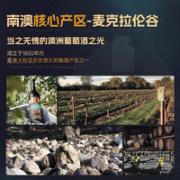 露颂【南澳红五星酿酒师】澳大利亚原瓶进口红酒 干红葡萄酒 【 麦克拉伦谷干红】6支装