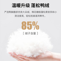 才子(TRIES)多功能防护羽绒服秋冬立领加厚保暖防风外套纯色商务 卡其色 L (170/88A)