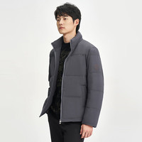 才子（TRIES）多功能防护羽绒服秋冬立领加厚保暖防风外套纯色商务 灰色 4XL (190/104A)