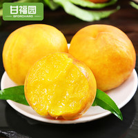 甘福园黄金蜜1号黄桃水果5斤毛桃子新鲜当季锦绣露天孕妇脆甜油整箱包邮 河北黄金蜜黄桃【净重】 【热卖大果】清甜爽口