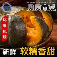 智洲 国产贝贝南瓜 450g